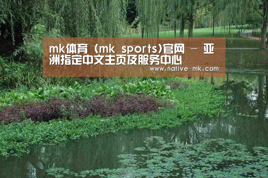 案例展示一(图1)