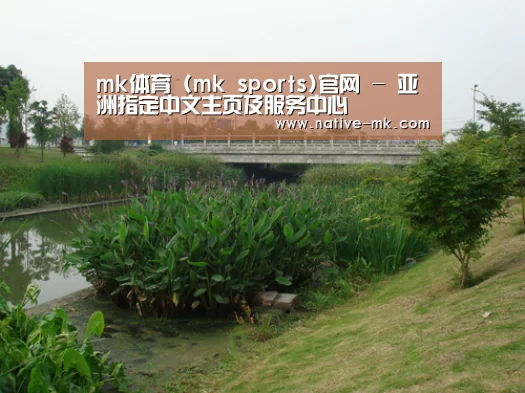 案例展示四(图1)