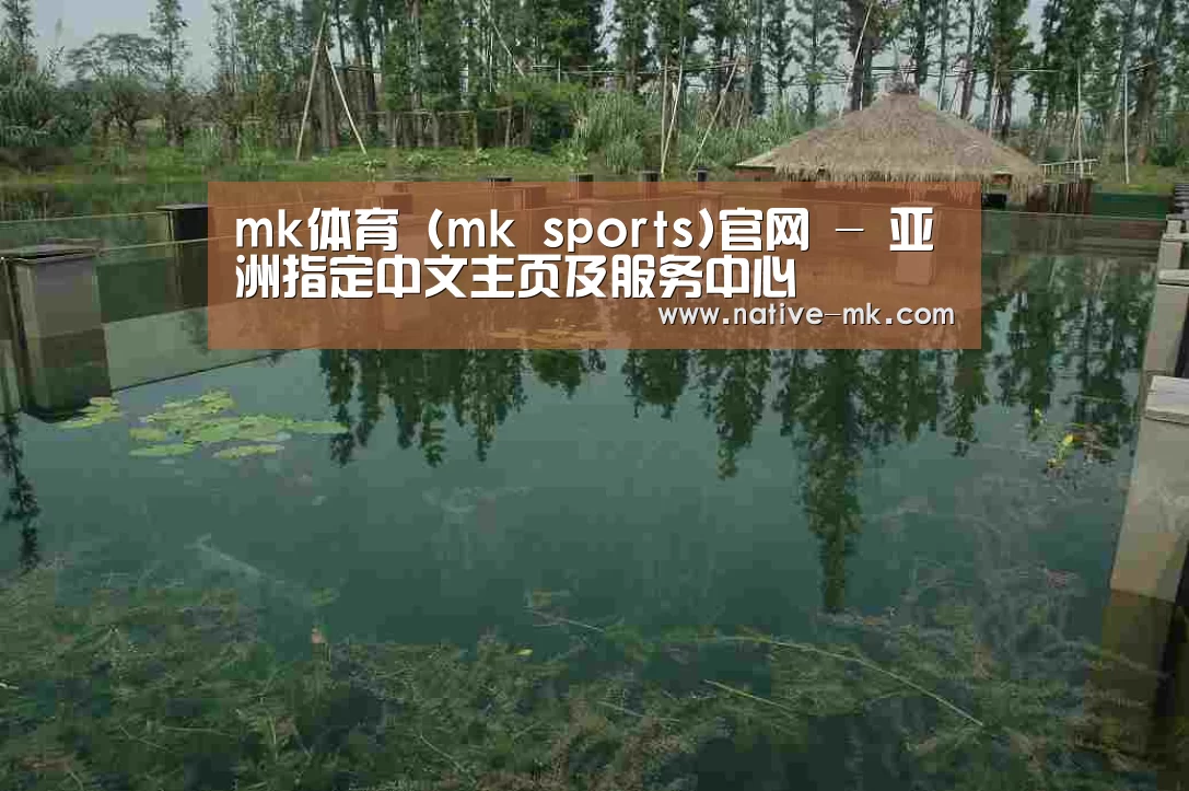 案例展示二(图1)