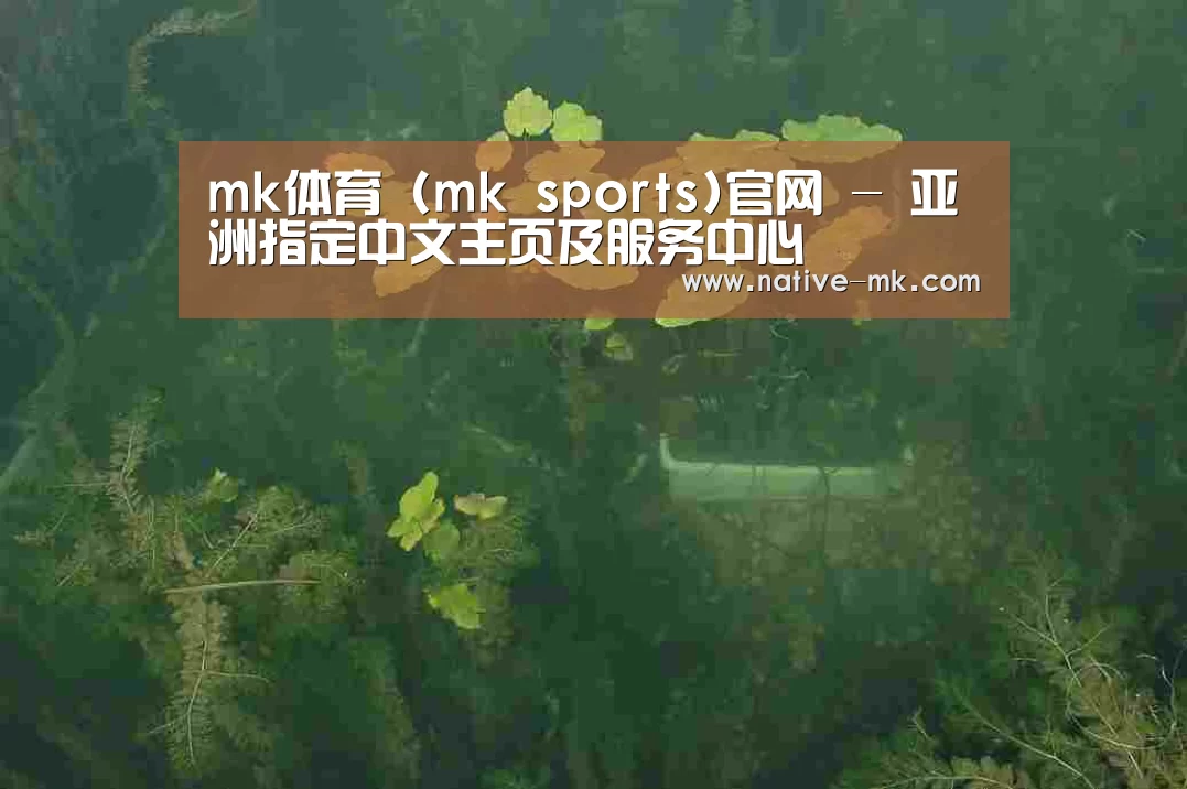 案例展示三(图1)