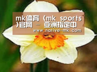 产品名称四