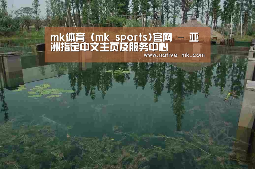 案例展示二