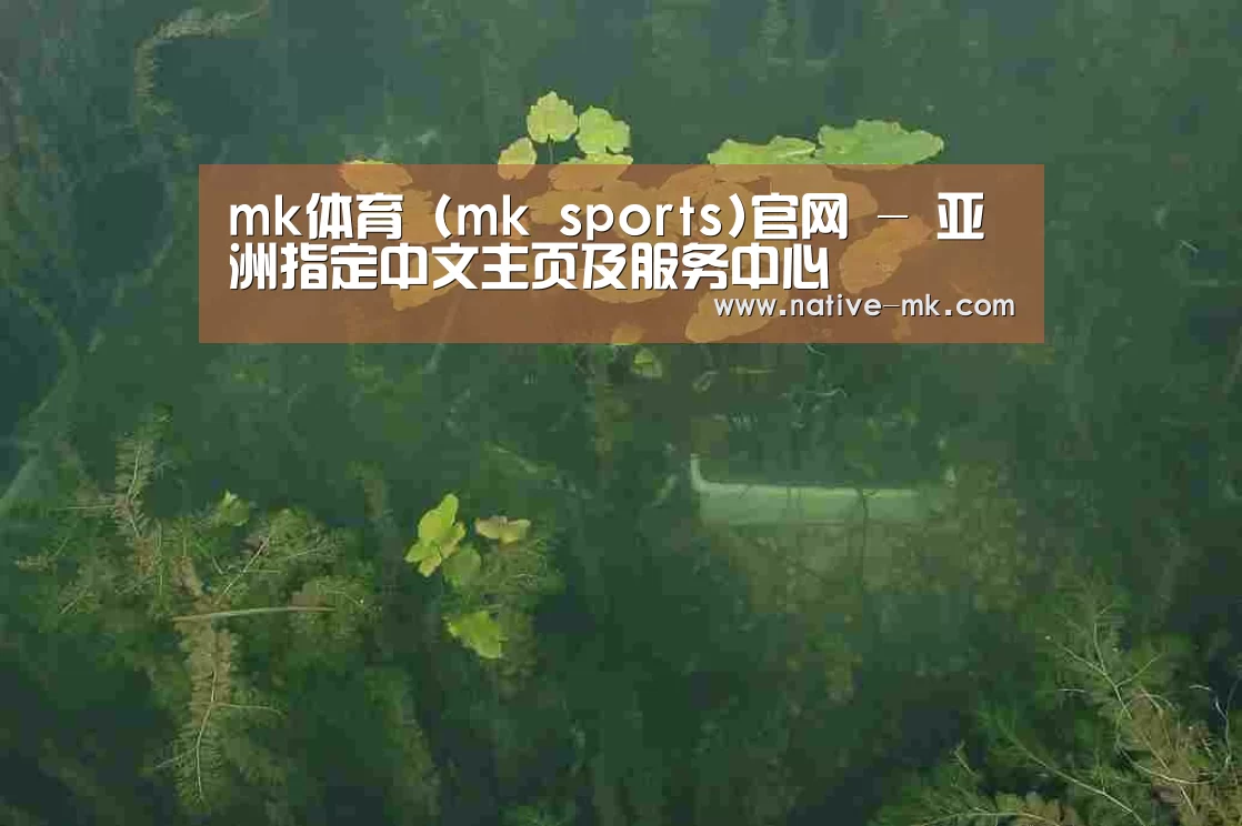 案例展示三