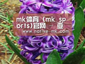 产品名称八