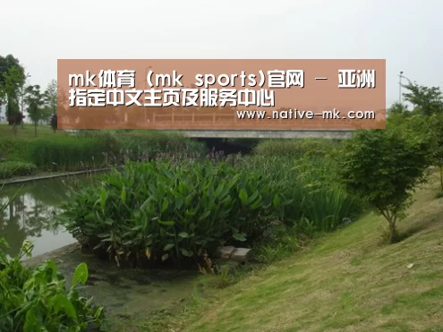案例展示四