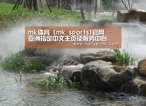 案例展示五
