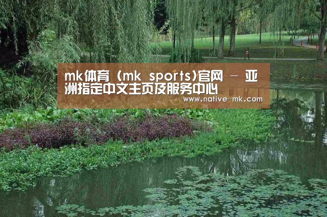 案例展示一