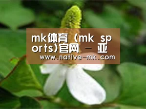 产品名称三