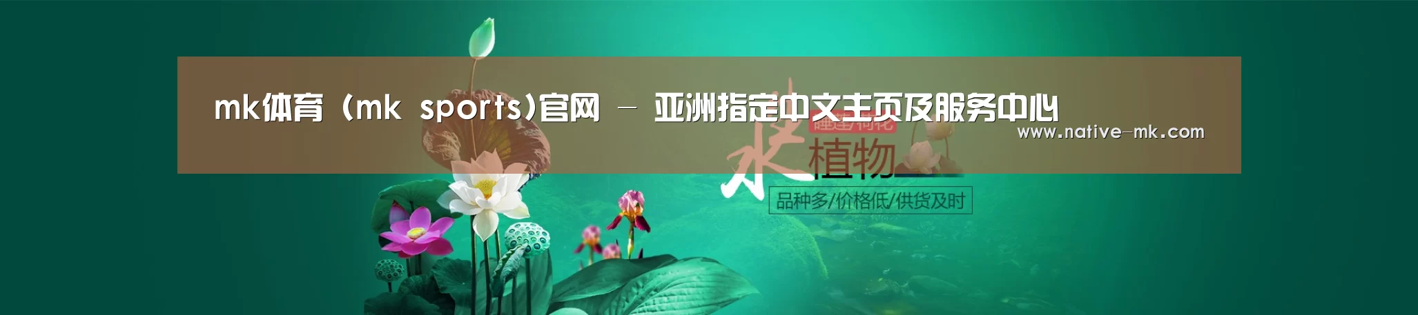 鲜花水草花卉网站模板