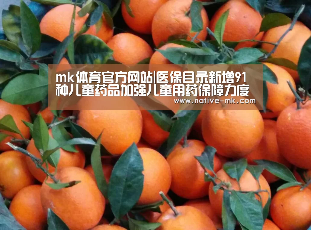 mk体育入口