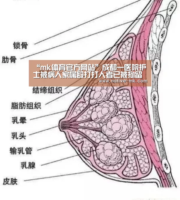 “mk体育官方网站”成都一医院护士被病人家属殴打打人者已被拘留(图2) mk体育官方网站