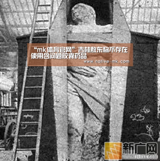 “mk体育官网”吉林敖东称不存在使用含问题胶囊药品(图1) mk体育官网