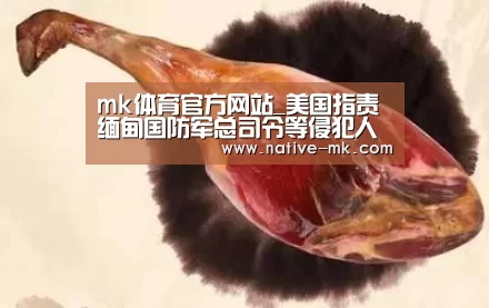 mk体育官方网站_美国指责缅甸国防军总司令等侵犯人权宣布禁止入境(图1) mk体育官方网站